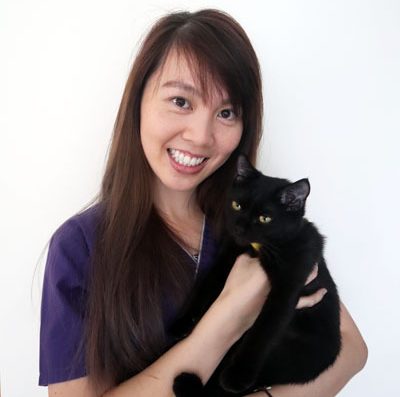 Dr. Chan Vee Vien